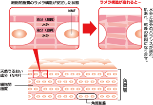 マーベセラーソウ クリーミーソープ - 商品詳細 - 中京医薬品